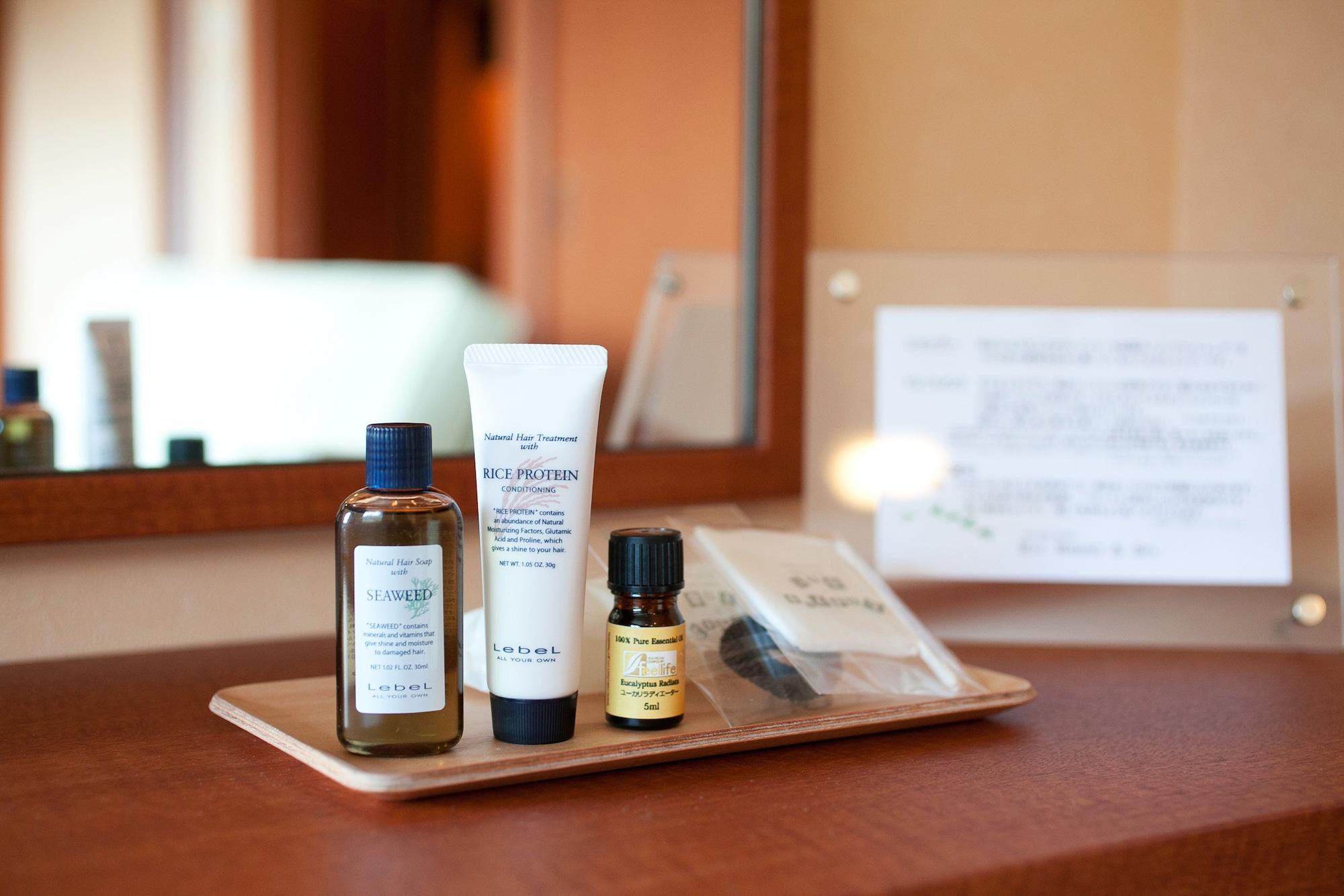 Hotel Ryu Resort And Spa Такаяма Екстер'єр фото